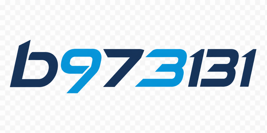 b973131